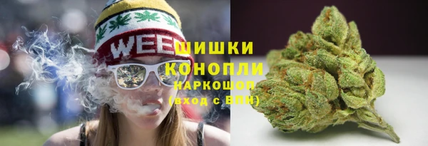 дурь Волосово