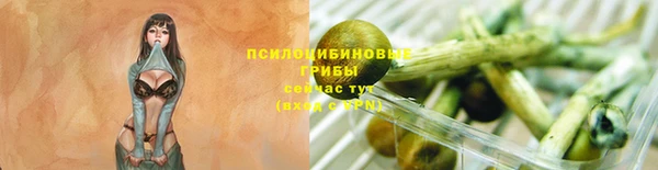 твердый Верхний Тагил