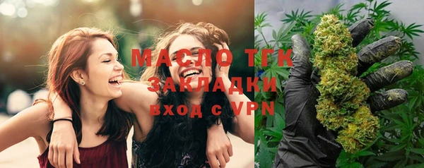 твердый Верхний Тагил