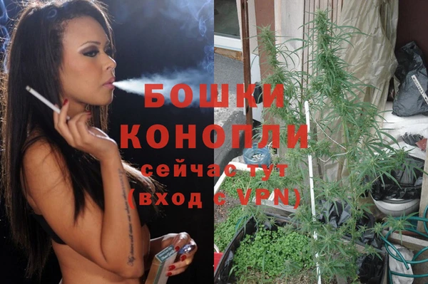 дурь Волосово