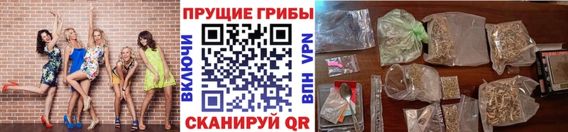 Купить  Мариинск  Галлюциногенные грибы Cubensis 